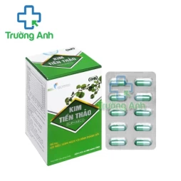 Kim tiền thảo PV (vỉ) - Điều trị tiểu ít, khó tiểu, sỏi
